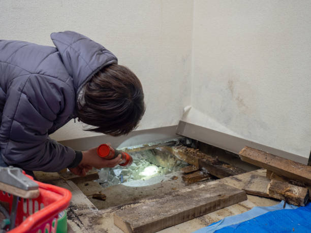 Best Residential Mold Inspection & Testing  in Clear Lake, WA