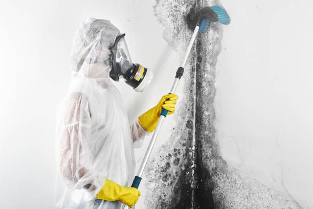 Best Commercial Mold Inspection  in Clear Lake, WA
