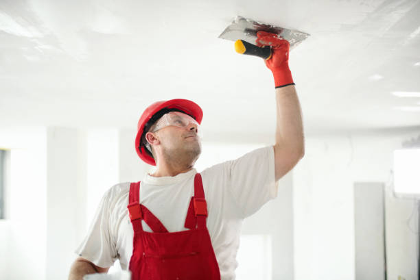 Best Basement Mold Removal  in Clear Lake, WA