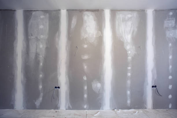 Best Asbestos and Lead Testing During Mold Inspection  in Clear Lake, WA